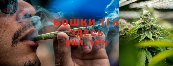 прущие грибы Осинники