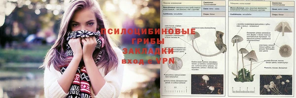 бошки Весьегонск