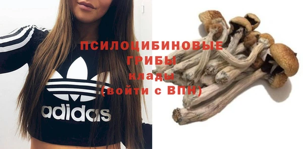 хмурый Нягань