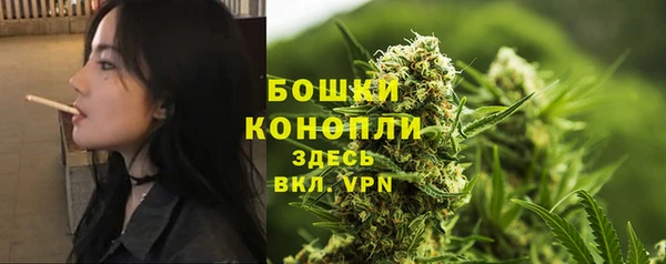 прущие грибы Осинники