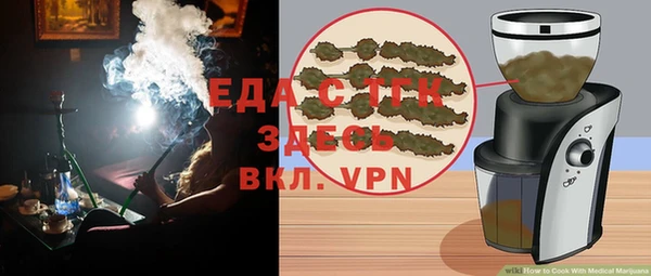 индика Осташков