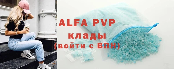 прущие грибы Осинники