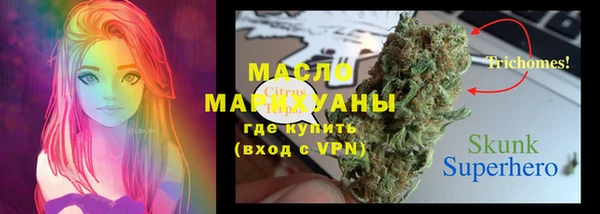 индика Осташков