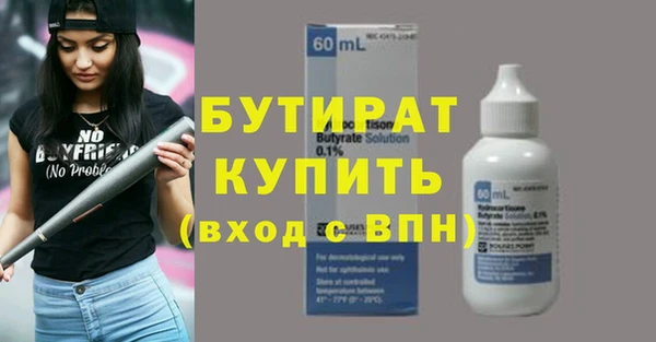 индика Осташков