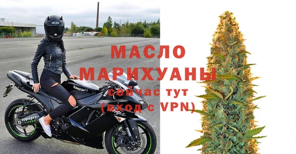 индика Осташков