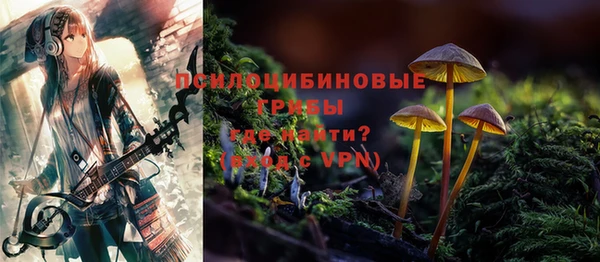 индика Осташков