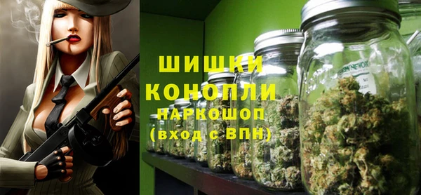 прущие грибы Осинники