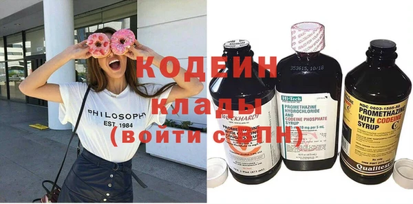 мет Няндома