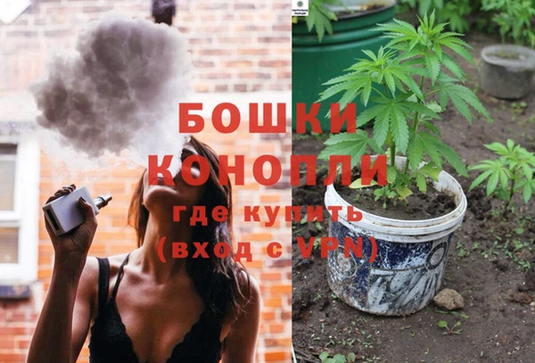 индика Осташков