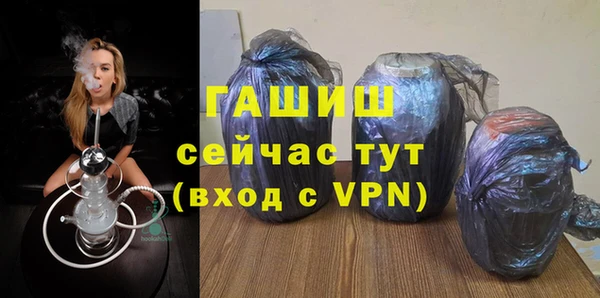 индика Осташков