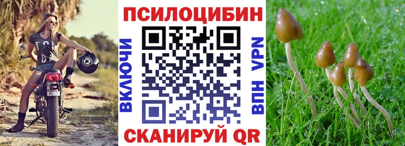 МЕГА как войти  наркотики  Кущёвская  Псилоцибиновые грибы Psilocybine cubensis 